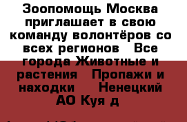 Зоопомощь.Москва приглашает в свою команду волонтёров со всех регионов - Все города Животные и растения » Пропажи и находки   . Ненецкий АО,Куя д.